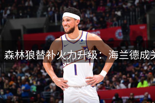 森林狼替补火力升级：海兰德成关键拼图